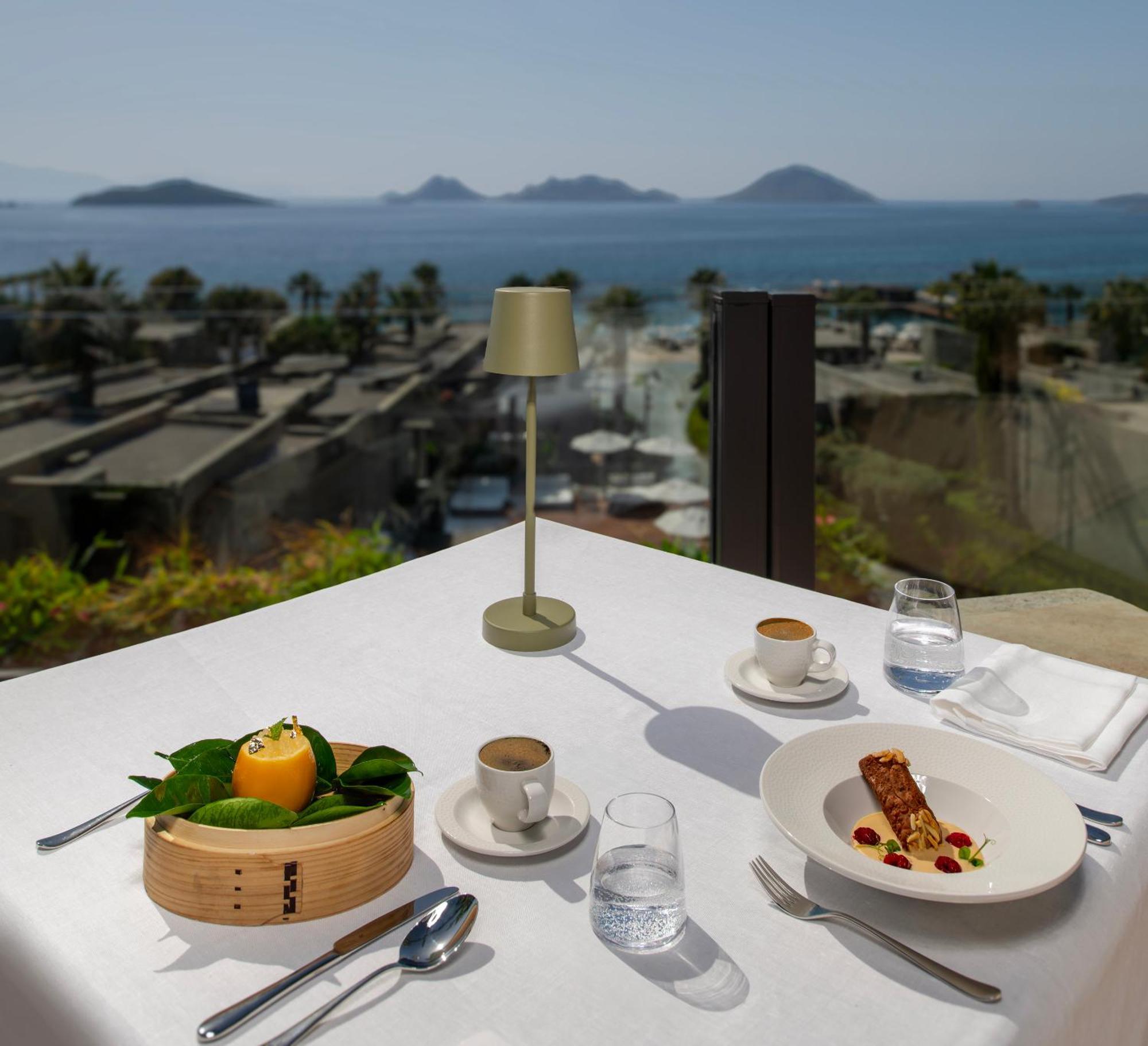 Курортний комплекс Swissotel Bodrum Тургутрейс